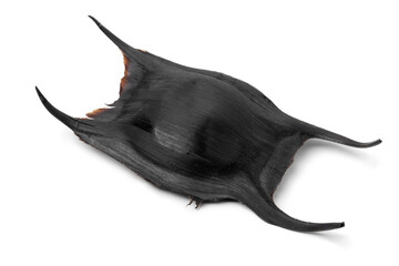 Egg case of a skate isolated on white background
