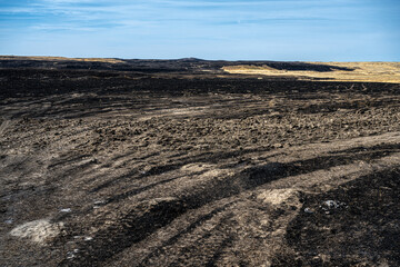 Burned Fields in the Palouse, WA