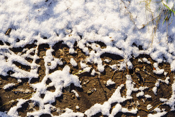 Wet ground covered with snow in early winter. Snow melts on the ground when exposed to the sun