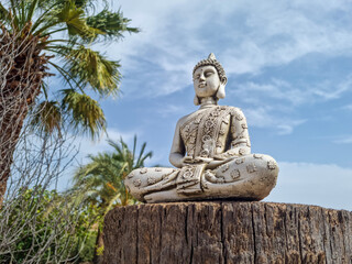 Fototapeta premium Buddha statue on tree trunk in nature