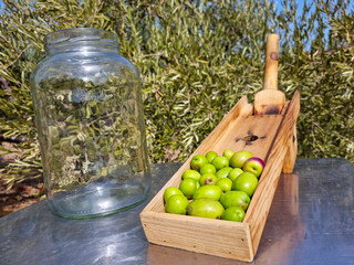 Composition of collection of olives with glass jar