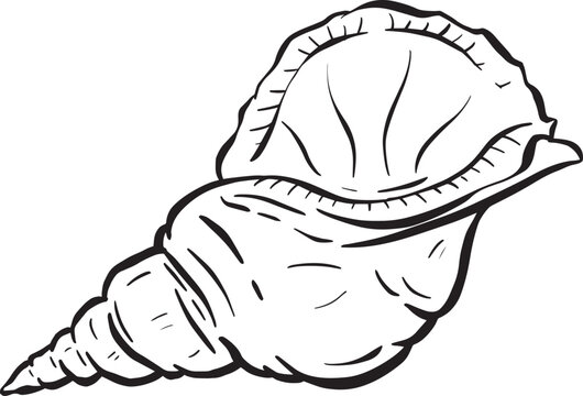 recommend clip art: Conch Sea Snail Shell Outline Cartoon Style Logo Design in Vector
