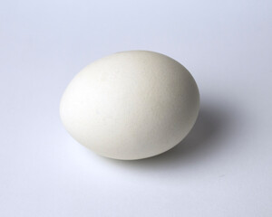 Fototapeta na wymiar image of a chicken egg