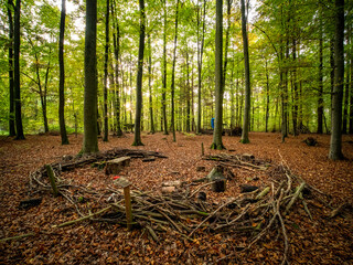 Aufbauten im Waldkindergarten