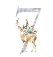 Christmas deer Number illustration, watercolor silver digit 7, woodland winter forest animal,stag, fawn, poinsettia, holly berry. Floral animal alphabet for holiday greeting card, invite,table number