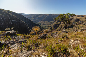 national landscape in Serra da Canastra, Minas Gerais State, Brazil