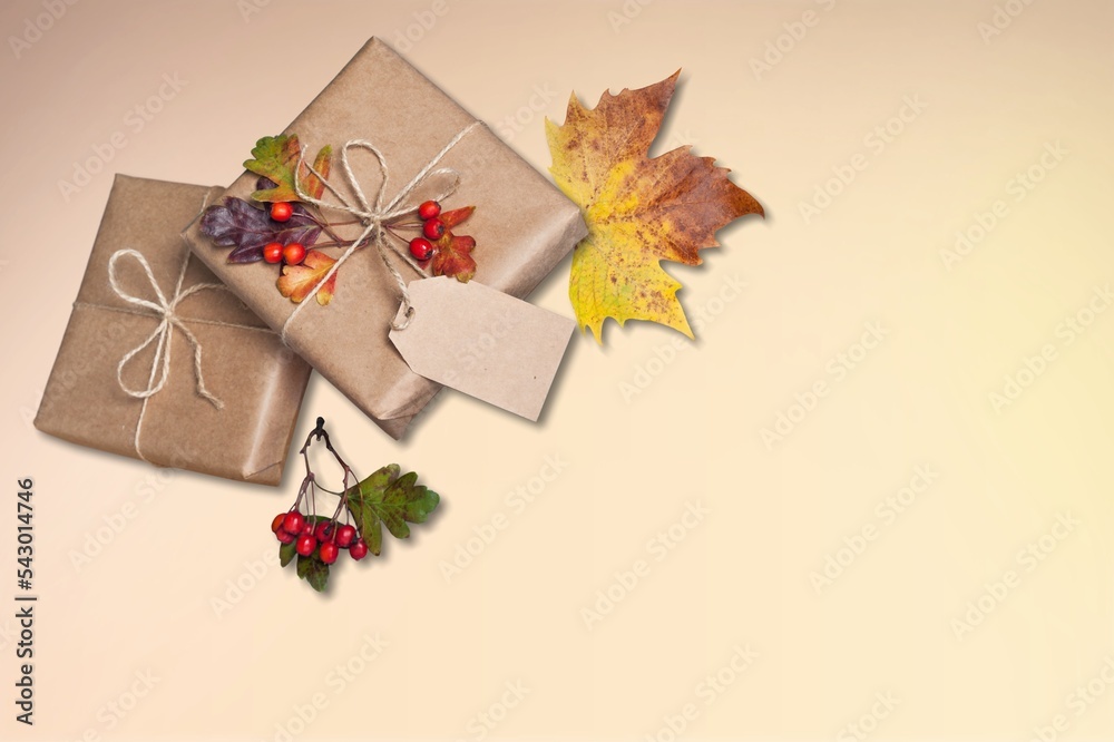 Poster Gift box with ribbon and dry leaves