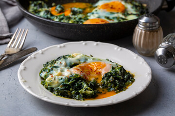 Turkish Food Spinach with Egg. Turkish name; ispanakli yumurta