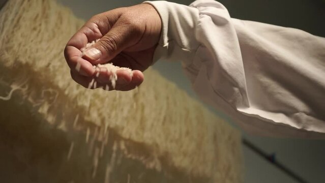 making rice noodles.
grain supply and preparation process