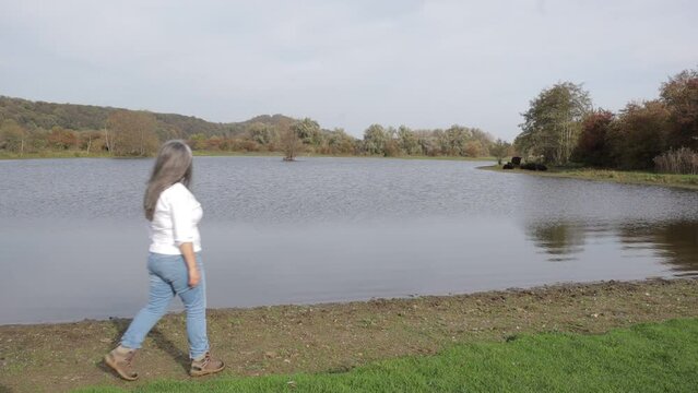 Female hiker reaching the edge of a pond, admiring the scenery, seeing a group of Galloway cattle in background at Eijsder Beemden Nature Reserve, autumn day in Eijsden, South Limburg, Netherlands