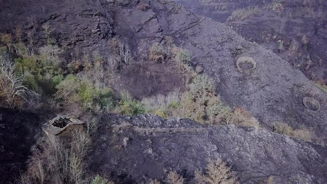 house burned by fire in a caurel forest.