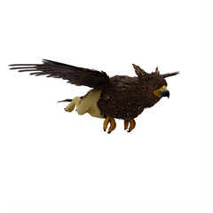 Griffin or griffon a legendary creature with the body of a lion, the head and wings of an eagle