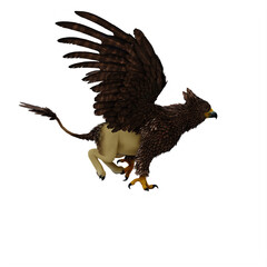 Griffin or griffon a legendary creature with the body of a lion, the head and wings of an eagle