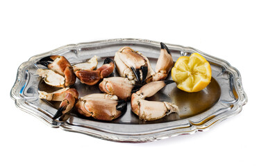 crab in studio