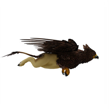 Griffin or griffon a legendary creature with the body of a lion, the head and wings of an eagle