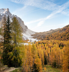 Autumn in Val Venegia - Pale di San Martino, Dolomites - 543026736
