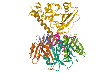 Structure of E. coli enterotoxin IIB, 3D cartoon model isolated, PDB 1tii