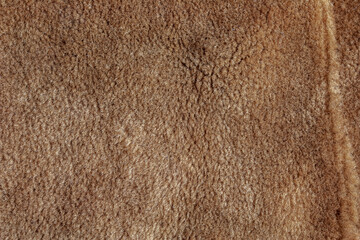 Background picture of a soft fur beige carpet. Wool sheep fleece closeup texture background. Top...