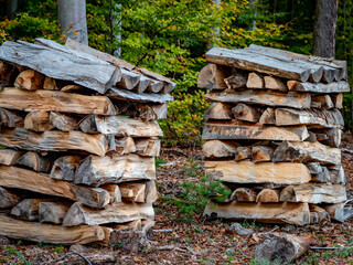 Brennholz gestapelt im Wald
