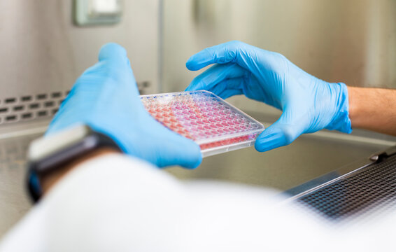 cell culture, medicine and biology laboratory