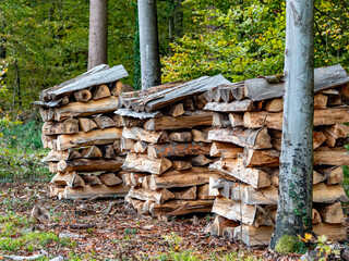 Brennholz gestapelt im Wald