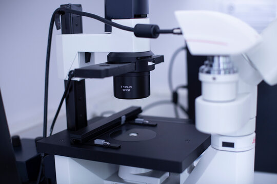 Fluorescence Microscope At The Cell Culture Laboratory