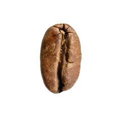 Photo of one coffee bean on white background, roasted bean under macro lens.