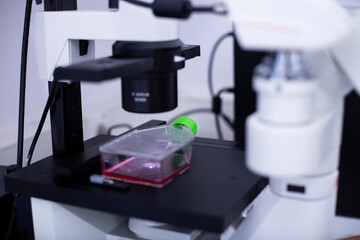 fluorescence microscope at the cell culture laboratory