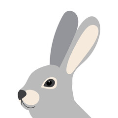 rabbit portrait in flat style, isolated vector design