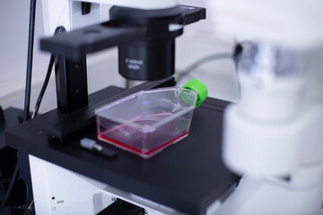 fluorescence microscope at the cell culture laboratory