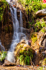 Lost Maples State Natural Area, Fall Foliage in the Texas Hill Country