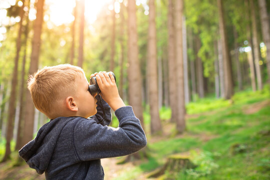little boy in the woods exploring nature looking through binoculars at wildlife bird watching. 