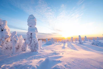 Keuken spatwand met foto landscape in the winter © Artem