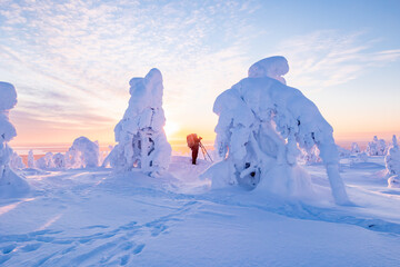 landscape with snow