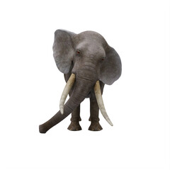 Obraz premium elephant isolated on white