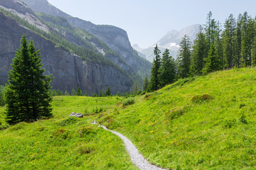 Panoramic view of green alpine meadows and mountains