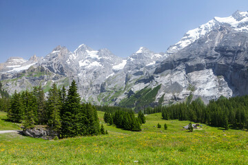 Panoramic view of green alpine meadows and mountains