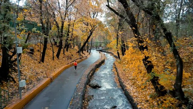 Woman Running in the Autumn Park