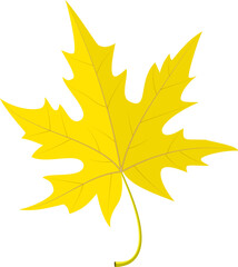 Naklejka na ściany i meble autumn leaves icon
