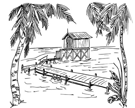  Sketch  of tropical landscape with palms.Vector illustration