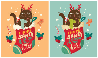 christmas day, cat lover