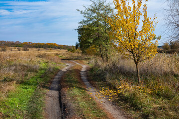 Fototapeta na wymiar Сountry road in Ukraine on a sunny day. Autumn landscape