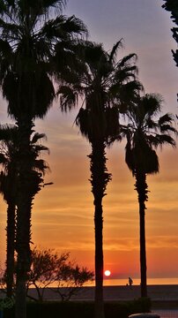 Amanecer