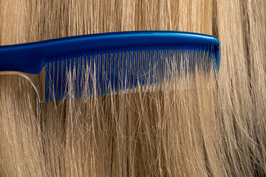 Macro shot of combing blond smooth female hair. Detail view of a blue comb with frequent fine teeth combing long healthy strands of hair. Frame for salons, barbershop, hairdressing.