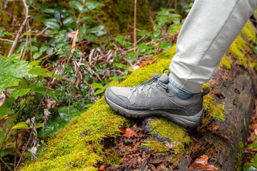 Close-up of a woman's sneakers, on a fallen tree with green moss. Obstacle on the forest road.