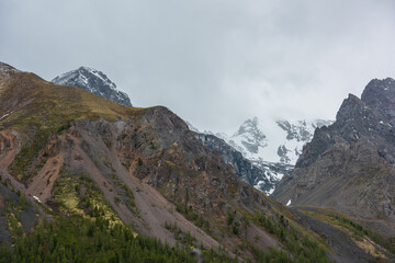 High mossy mountains with trees against large snowy mountain range with sharp rocks in rainy low clouds. Scenic view to forest mountainside and snow mountains in gray cloudy sky in changeable weather.