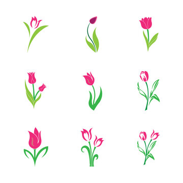 Tulips Icon Logo Vector Design Template