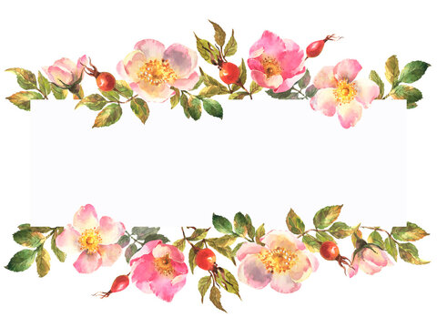 Watercolor hand painted wild rose floral banner isolated on white background.