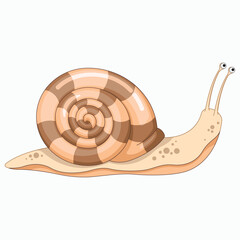 Vector Snail cartoon illustration. - 543054921
