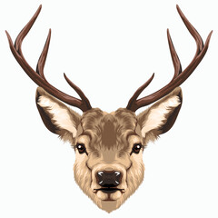 Deer head vector illustration.